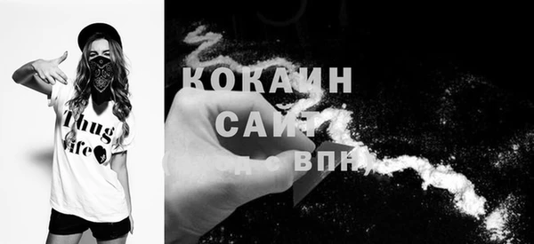 сатива Армянск