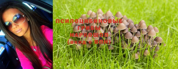 марки lsd Новозыбков