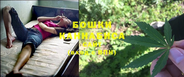 стафф Аркадак