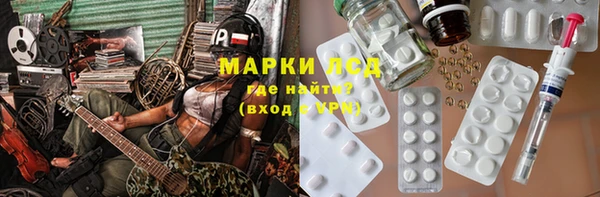 сатива Армянск