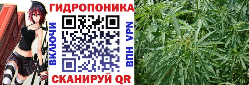 Конопля гибрид  darknet телеграм  Фатеж  omg ССЫЛКА 